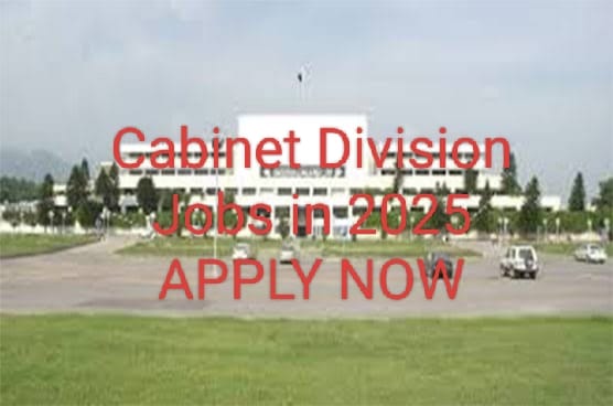 Cabinet Division Jobs in 2025