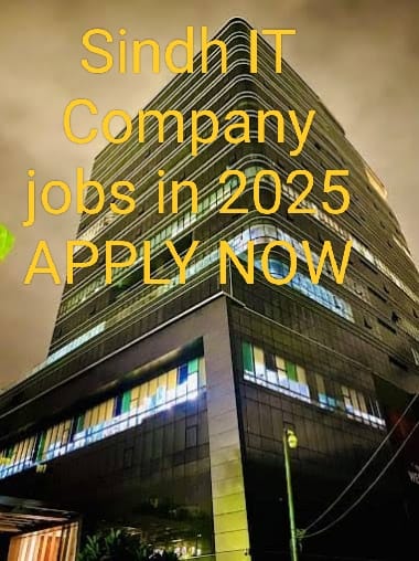 Sindh IT Company jobs in 2025